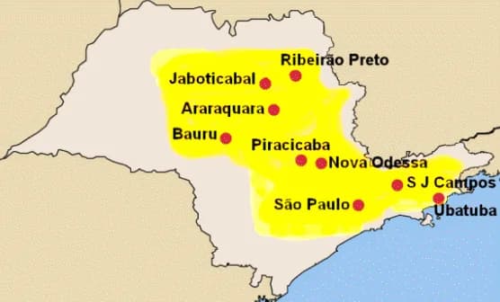 2006 São Paulo violence outbreak