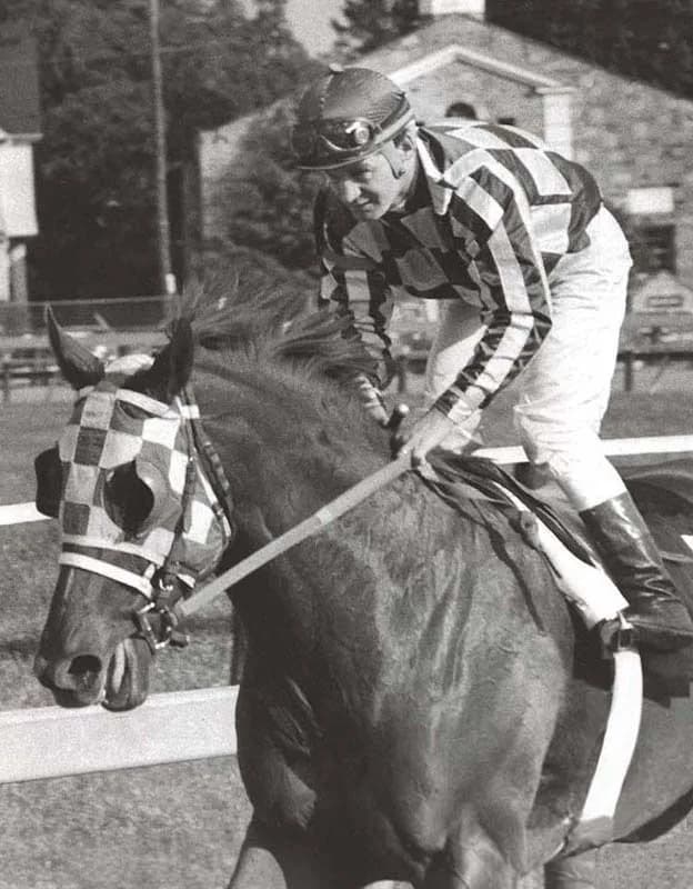 Secretariat (horse)