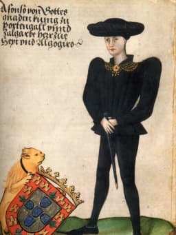 Afonso V of Portugal