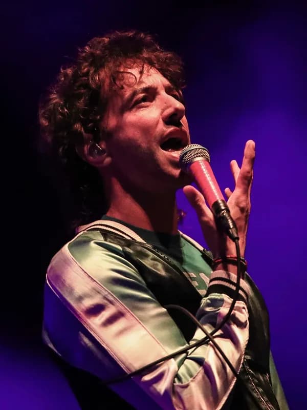 Albert Hammond Jr.