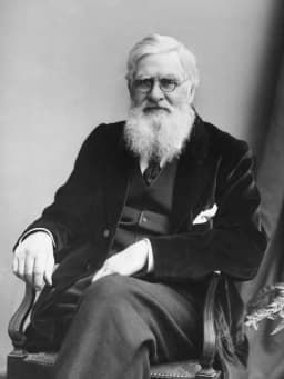 Alfred Russel Wallace