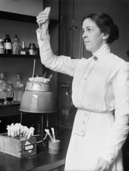 Alice Catherine Evans