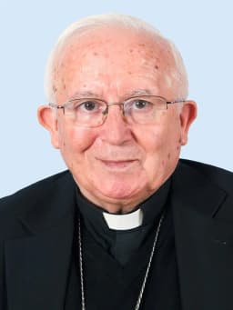 Antonio Cañizares Llovera