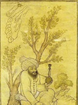 Baha al-Din al-Amili