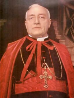 Benedetto Aloisi Masella