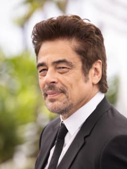 Benicio del Toro