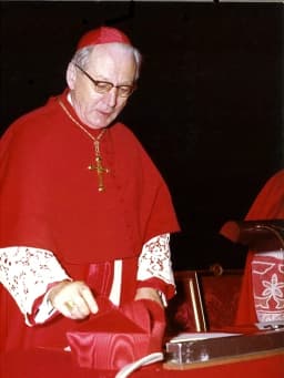 Bernardus Johannes Alfrink