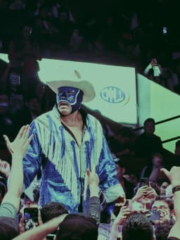 Blue Panther