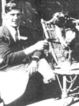 Bluey (long-lived dog)