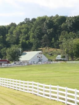 Bob Evans (restaurateur)