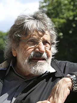 Carlos Cruz-Diez