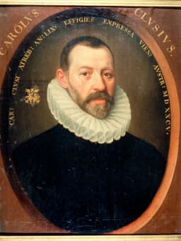 Carolus Clusius