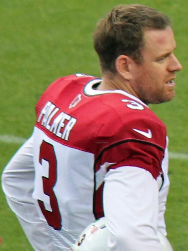 Carson Palmer