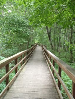 Charles E. Burchfield