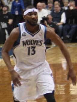 Corey Brewer