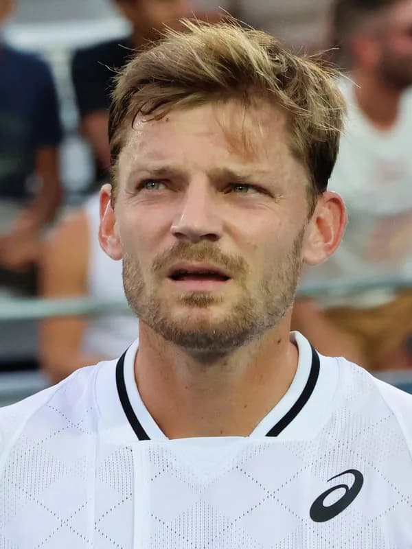 David Goffin