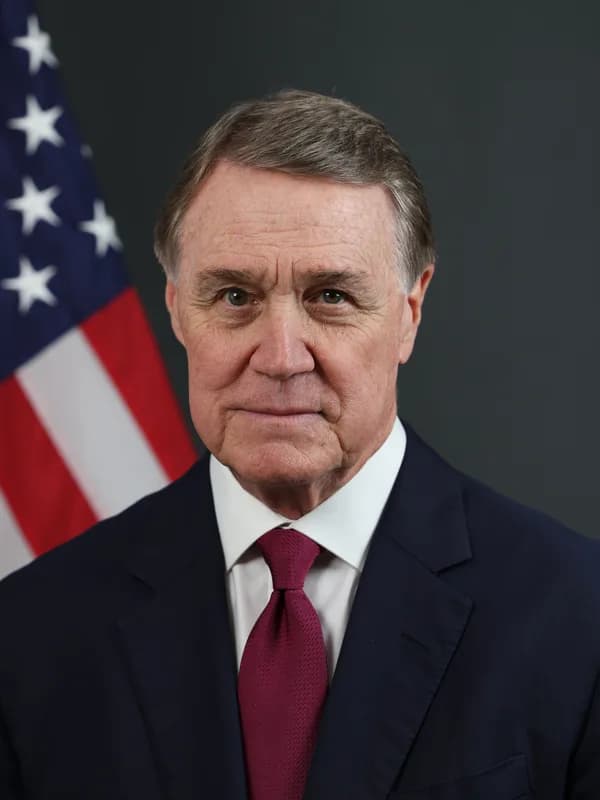 David Perdue