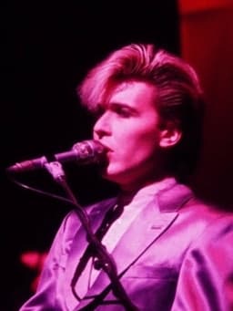 David Sylvian