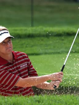 David Toms