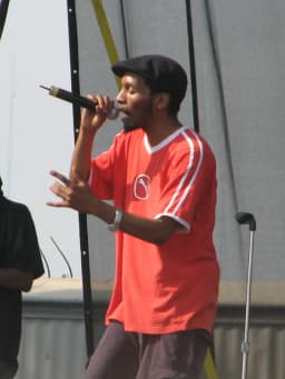 Del the Funky Homosapien