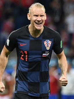 Domagoj Vida