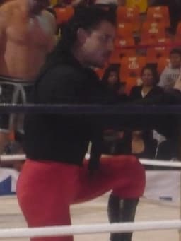 El Zorro (wrestler)