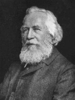 Ernst Haeckel