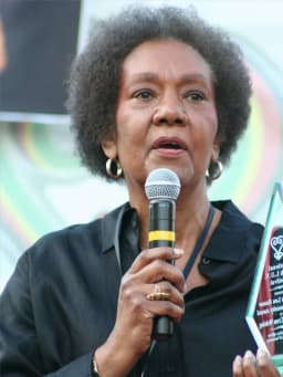 Frances Cress Welsing
