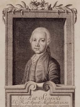 Giovanni Antonio Scopoli