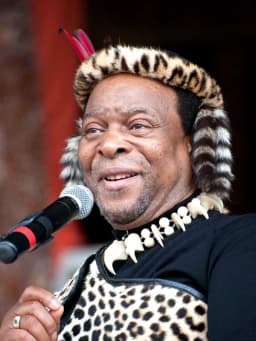 Goodwill Zwelithini