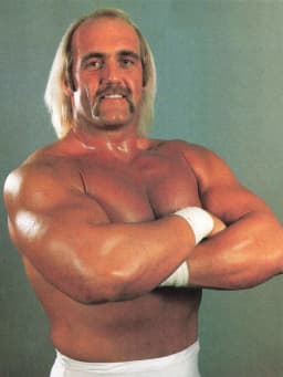 Hulk Hogan