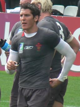 James Hook (rugby union)