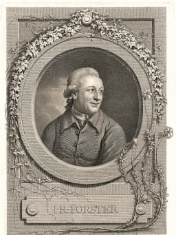 Johann Reinhold Forster