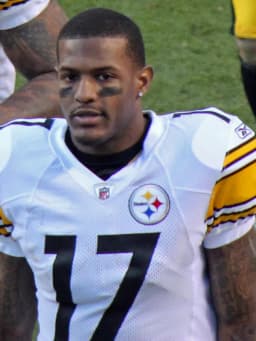 Mike Wallace (American football)