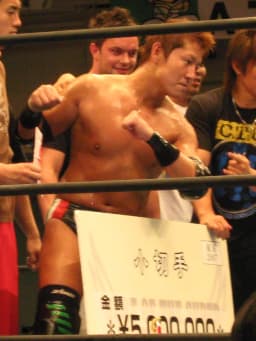 Milano Collection A. T.