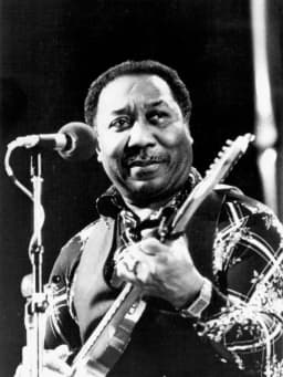 Muddy Waters
