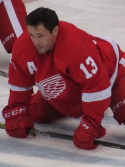 Pavel Datsyuk