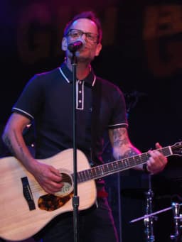 Robin Wilson (musician)