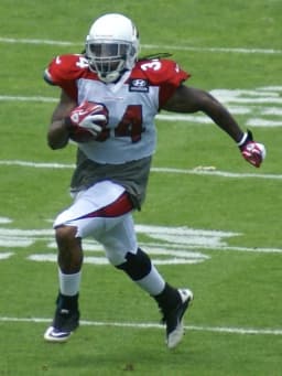 Ryan Williams (running back)