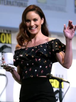 Sarah Wayne Callies
