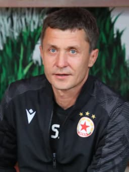 Saša Ilić (footballer, born 1977)