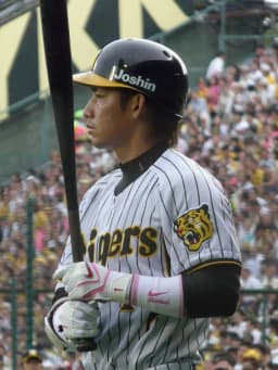 Takashi Toritani
