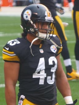 Troy Polamalu