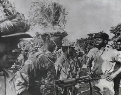 Mozambican War of Independence