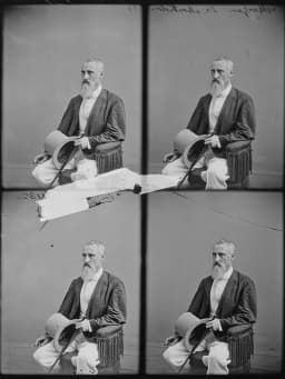 Charles-François-Frédéric, marquis de Montholon-Sémonville